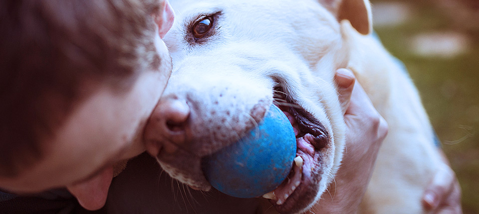 Man having fun and playing with his dog