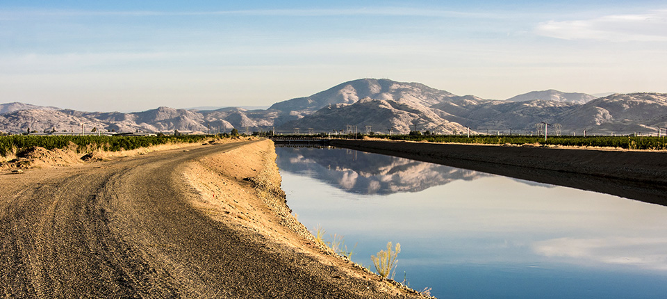 Nurturing Healthier Living in a "Care Desert"